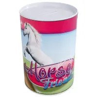 Spaarblik Horse Friends